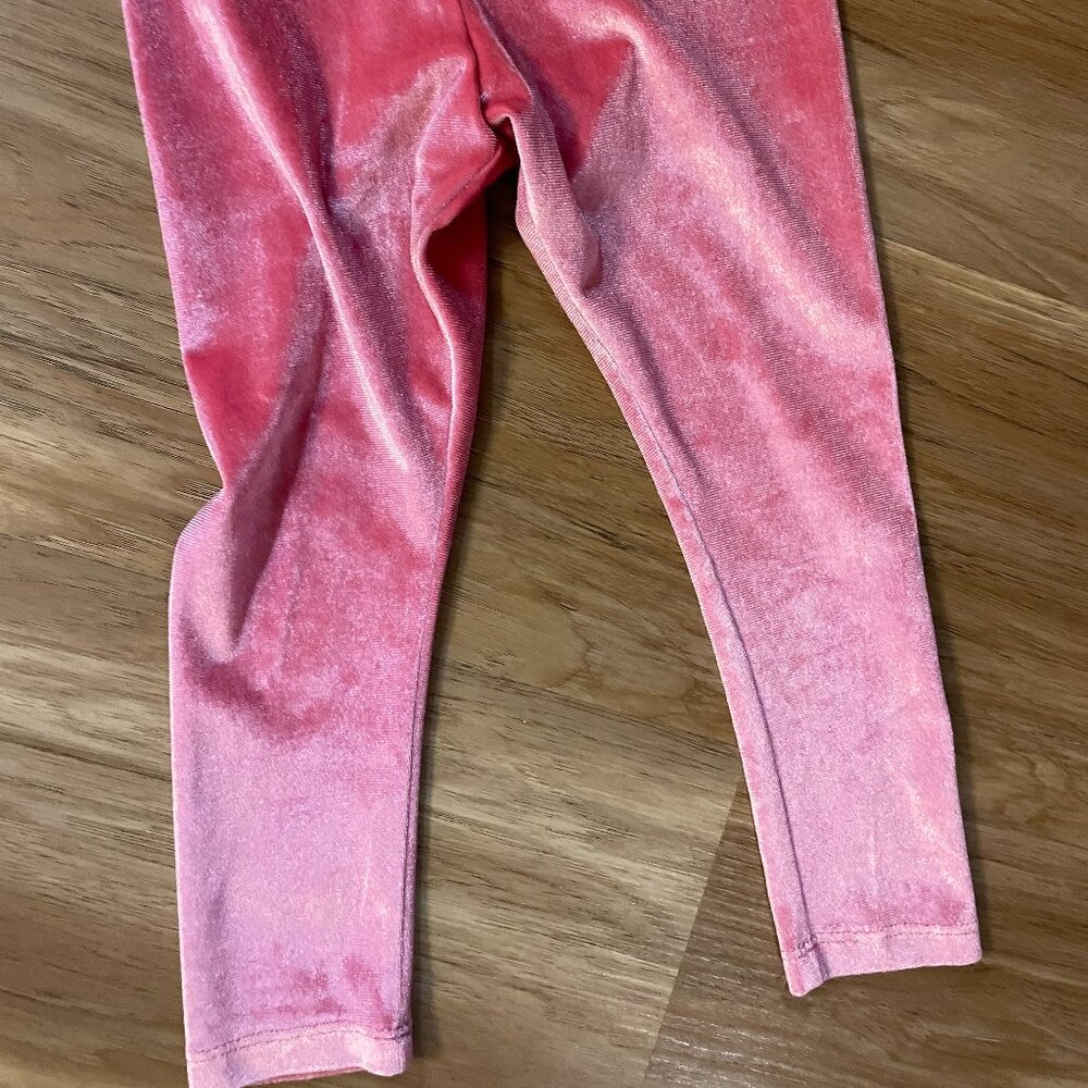 falls creek velvet pants